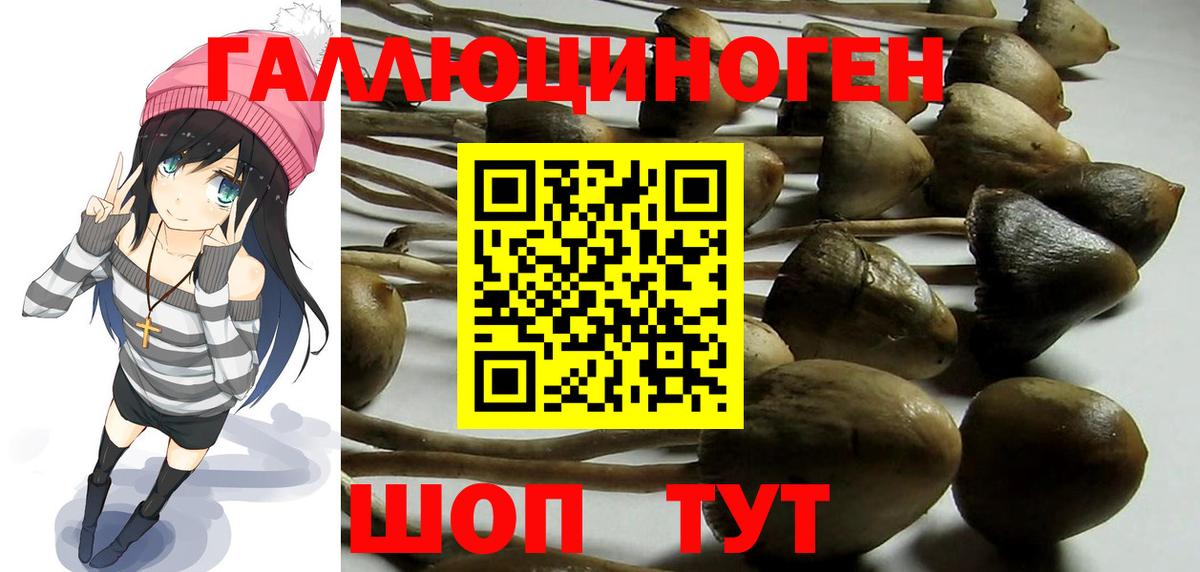Галлюциногенные грибы Psilocybine cubensis Белебей