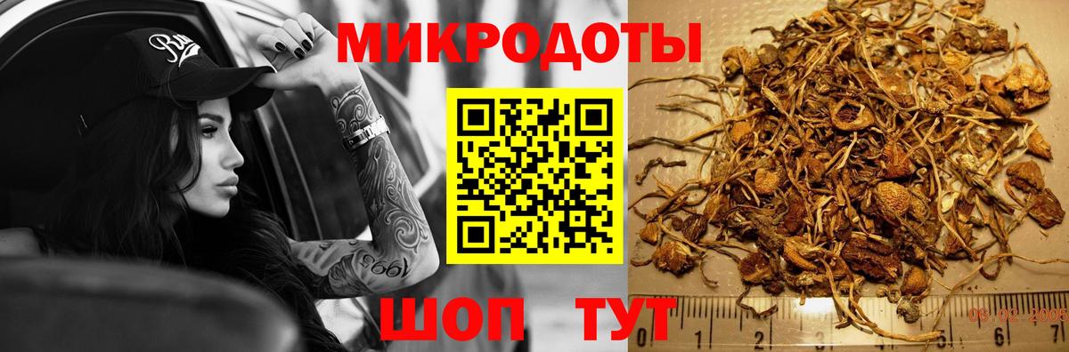 Галлюциногенные грибы Psilocybe  Вход с VPN  Галлюциногенные грибы Magic Shrooms  Белебей 